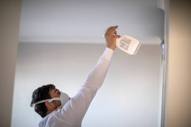 Best Mold Cleaning Services  in East Farmingdale, NY
