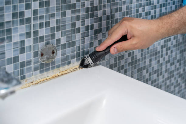 Best Attic Mold Removal  in East Farmingdale, NY