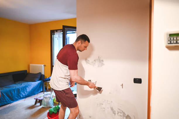 Best Certified Mold Removal  in East Farmingdale, NY